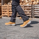 Xpert Pro Raptor 7