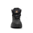 Xpert Warrior 3