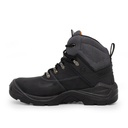 Xpert Warrior 4