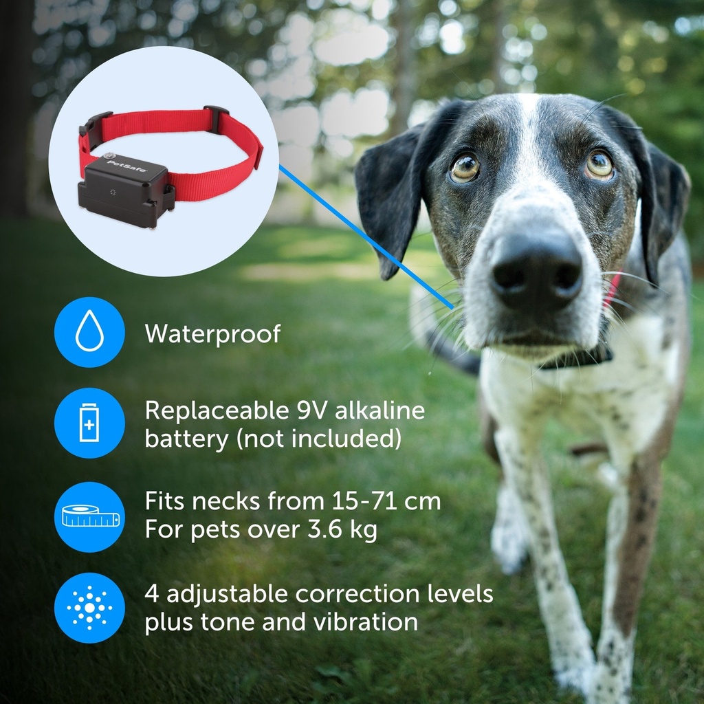 PetSafe Stubborn Dog In-Ground Radio Fence System (Super) 3
