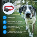 PetSafe Stubborn Dog In-Ground Radio Fence System (Super) 3