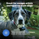 PetSafe Stubborn Dog In-Ground Radio Fence System (Super) 4