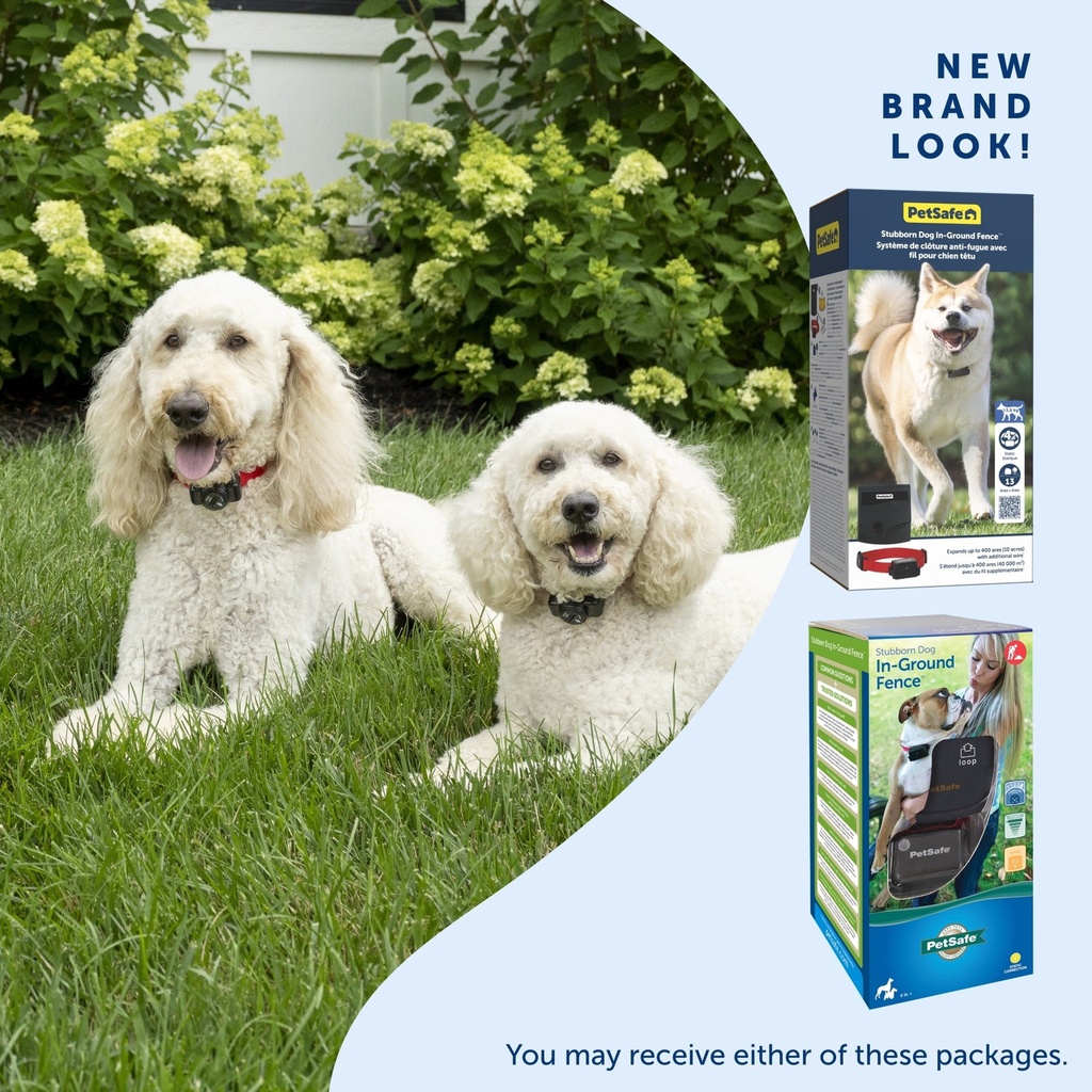 PetSafe Stubborn Dog In-Ground Radio Fence System (Super) 6