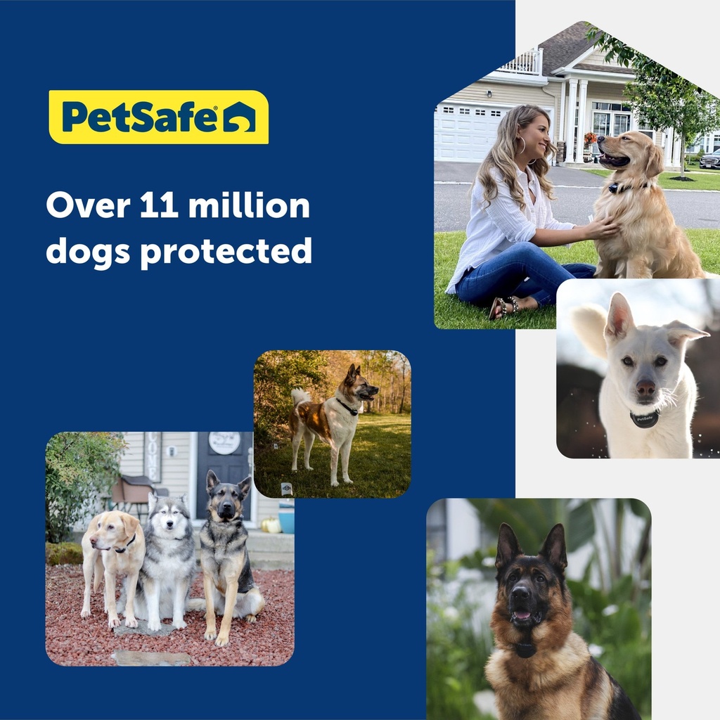 PetSafe Stubborn Dog In-Ground Radio Fence System (Super) 7
