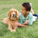 PetSafe In-Ground Radio Fence System (Standard) 2