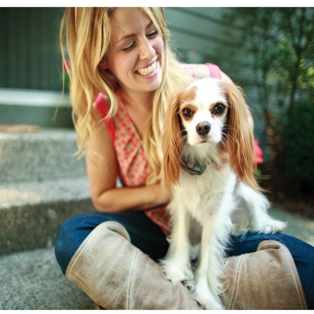 PetSafe In-Ground Fence Extra Receiver Collar 3