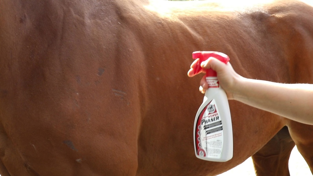 Leovet Power Phaser Fly Spray 550 ml 2