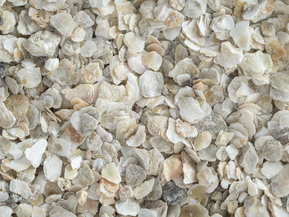 Oyster Shell 2kg