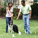PetSafe Boundary Wire 200 m