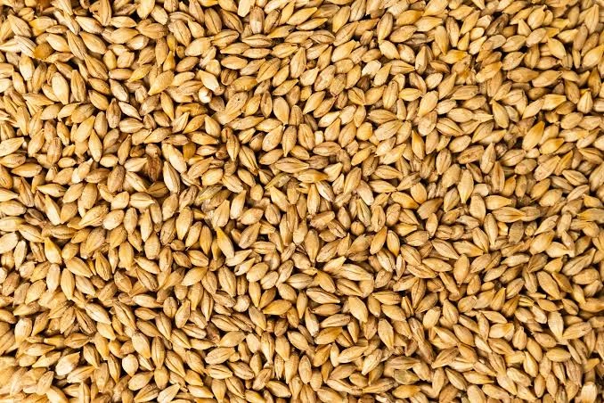 CR Wynne Whole Barley 25kg