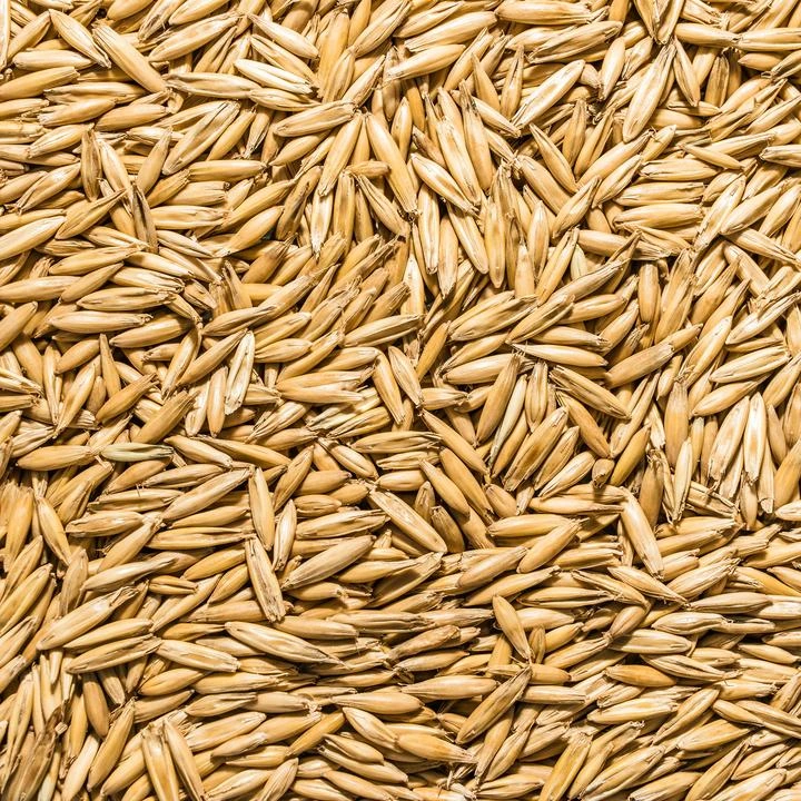 CR Wynne Whole Oats 25kg