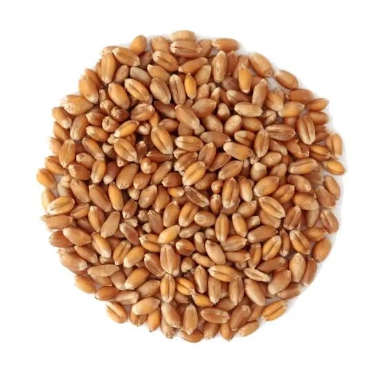 CR Wynne Whole Wheat 25kg
