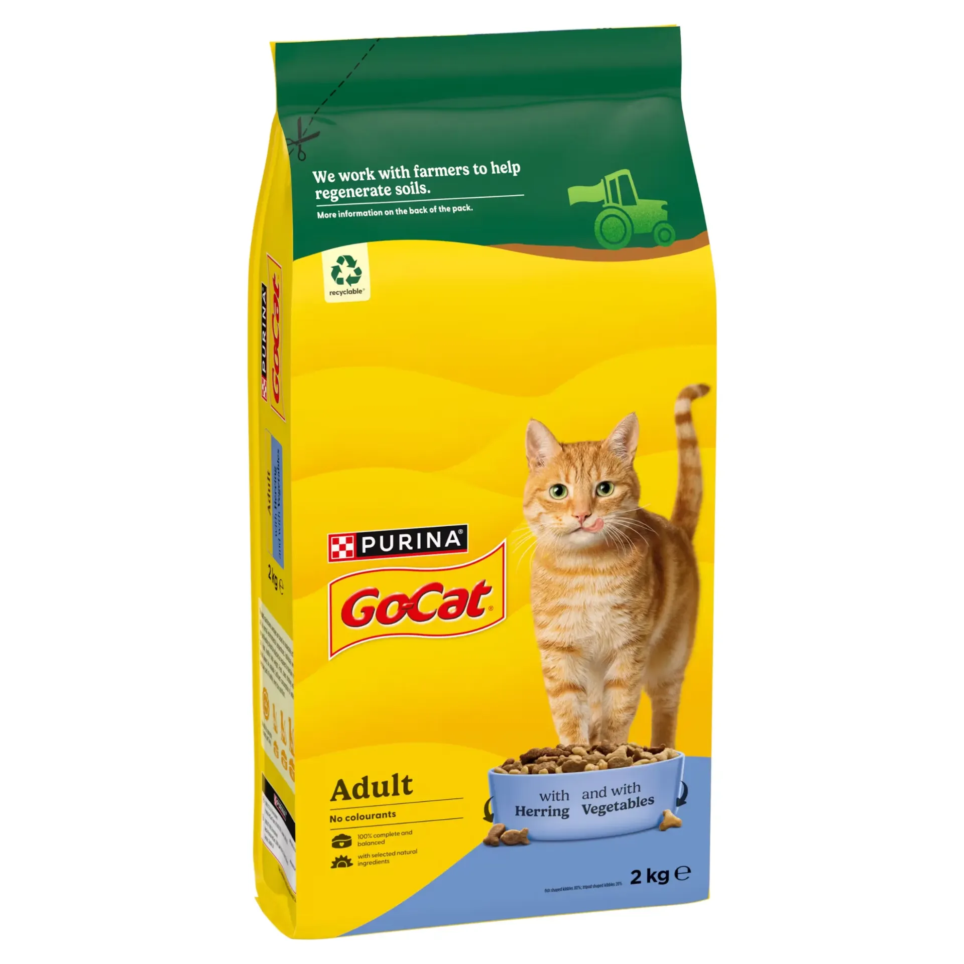 Go Cat Salmon 2kg