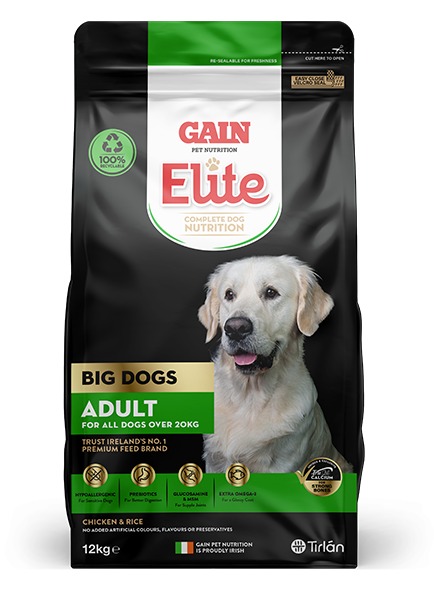 Gain Adult Big Dog 12KG
