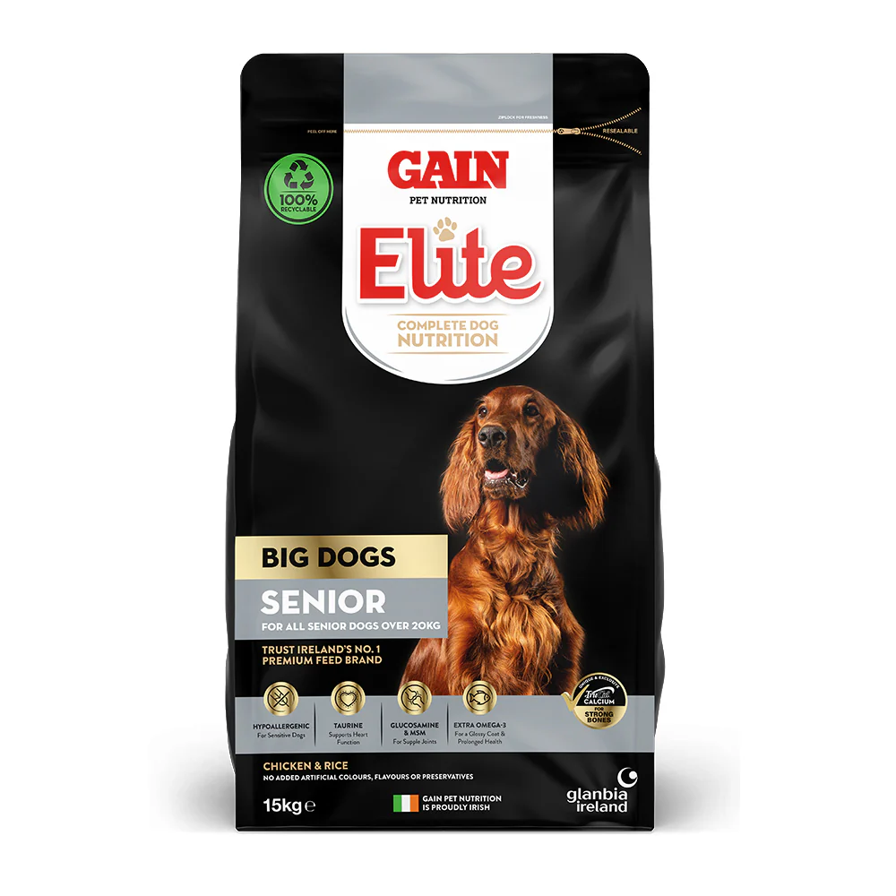 Gain Senior Big Dog 12KG