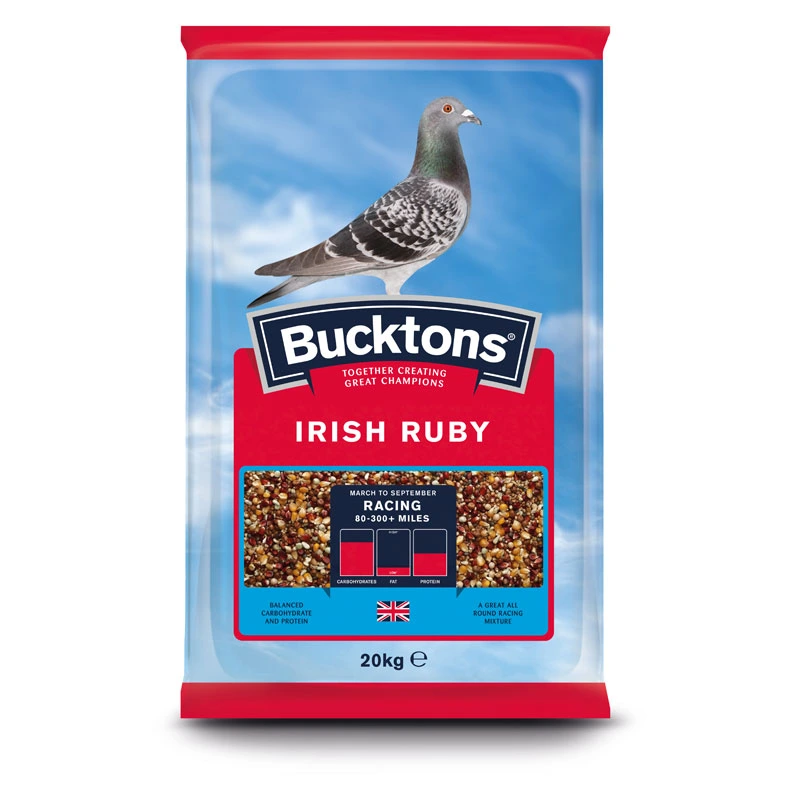 BK Pigeon Irish Ruby 20kg