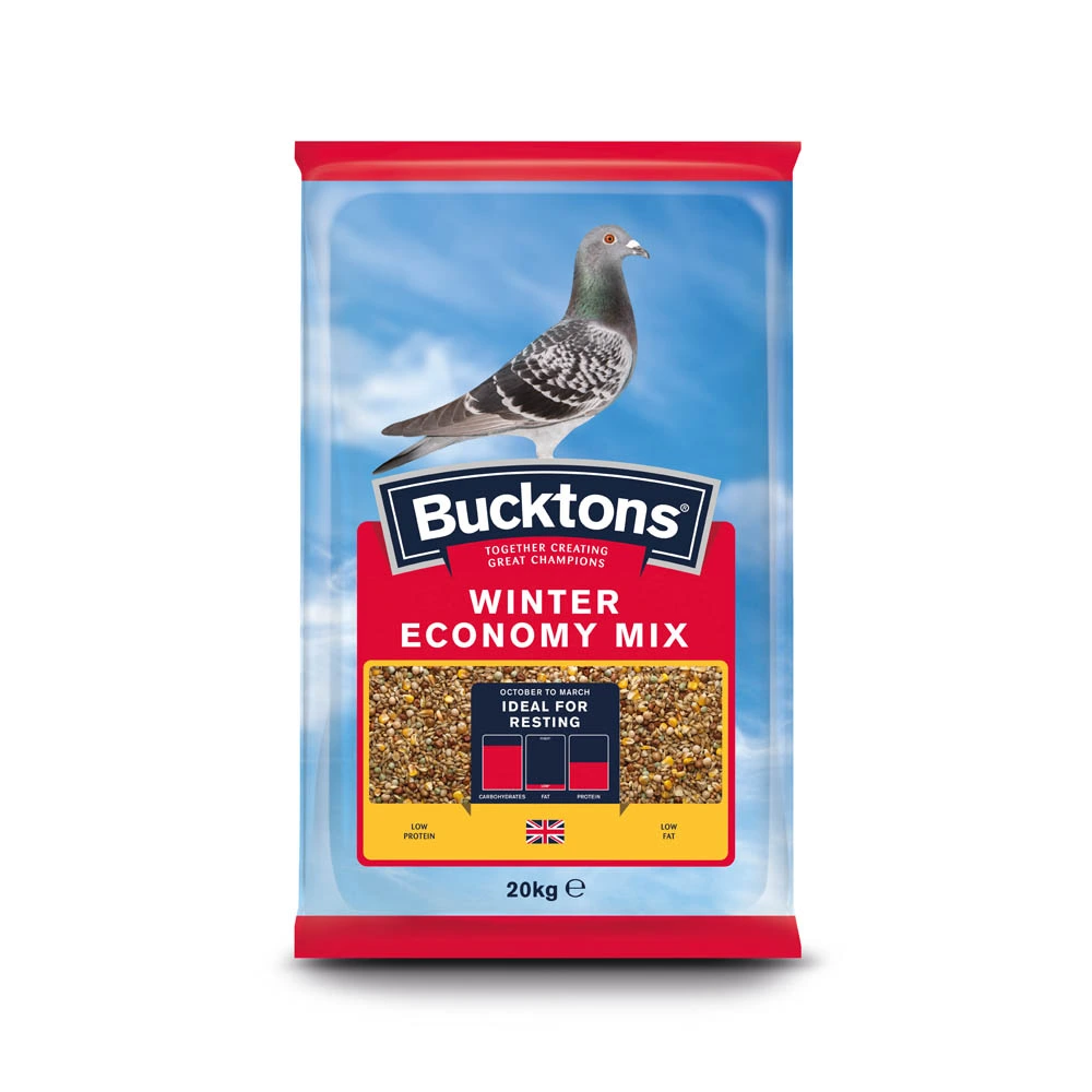 BK Winter Pigeon Economy